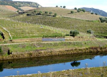 Thumbnail Farm for sale in Tua River, Carrazeda De Ansiães, Bragança, Norte, Portugal