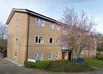 Find 3 Bedroom Flats To Rent In Ipswich Zoopla