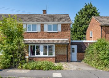 Thumbnail 6 bed semi-detached house to rent in Homestall, Guildford