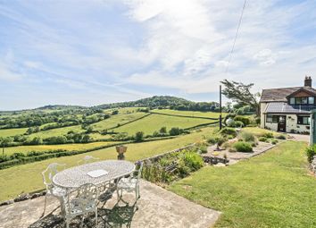Property listing in Bridport, Dorset