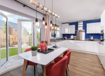 Showhome Photography