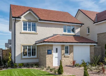 Showhome Photography