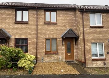 Thumbnail Terraced house to rent in Poplar Close, Tycoch