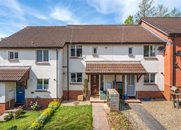 Thumbnail Terraced house for sale in Queen Elizabeth Drive, Crediton, Devon