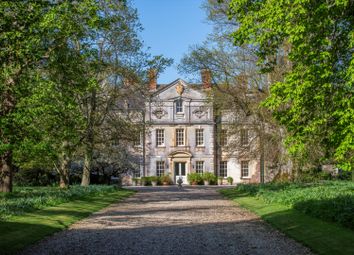 Thumbnail Detached house for sale in Holwell, Sherborne, Dorset