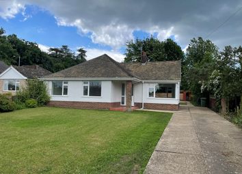 Thumbnail 3 bed bungalow to rent in Brecklands, Mundford, Thetford