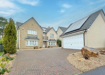 Thumbnail Detached house for sale in Douglas Avenue, Airth