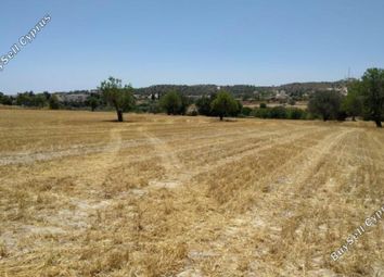 Thumbnail Land for sale in Alethriko, Larnaca, Cyprus