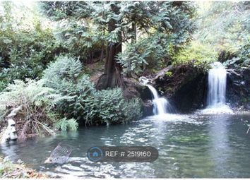 The Waterfalls