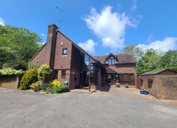 Thumbnail Detached house for sale in The Street, Bramber, Steyning