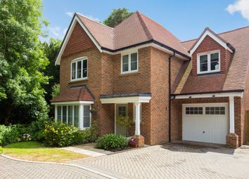 Thumbnail 4 bedroom detached house to rent in Sycamore Road, Cranleigh
