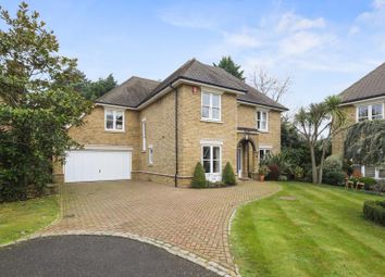 5 Bedroom  for rent