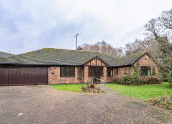 Thumbnail Detached bungalow for sale in Dormston Close, Solihull