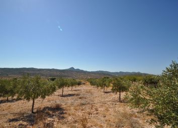 Thumbnail Land for sale in 30648 Macisvenda, Murcia, Spain