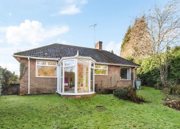 Hammer Vale, Haslemere GU27, south east england property