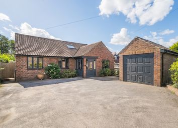 Thumbnail 4 bed bungalow for sale in Lindford, Hampshire