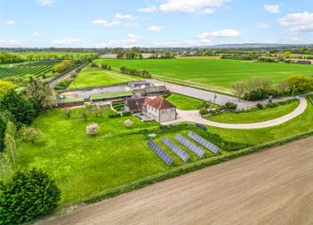 Thumbnail Property for sale in Exciting Business Opportunity, Aldingbourne, Chichester, West Sussex