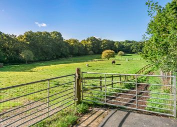 Thumbnail 4 bed equestrian property for sale in Hop Gardens, Fairwarp, Uckfield, East Sussex