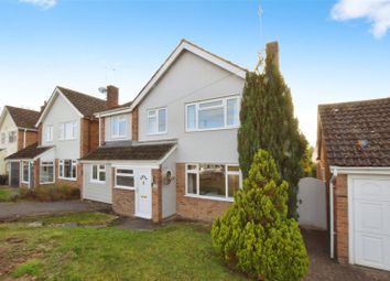 Braintree - Detached house for sale              ...