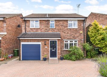 Thumbnail 4 bed detached house to rent in Salisbury Close, Alton