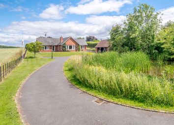 Thumbnail 3 bed detached bungalow for sale in Ocle Pychard, Hereford