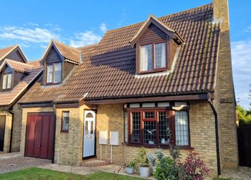 Thumbnail Detached house for sale in Hythegate, Werrington, Peterborough