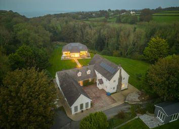 Thumbnail Detached house for sale in Cross Inn, Nr New Quay