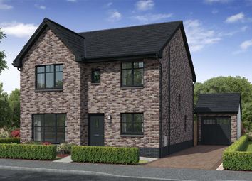 Thumbnail 4 bedroom detached house for sale in "Glencoe" at Carron Den Road, Stonehaven