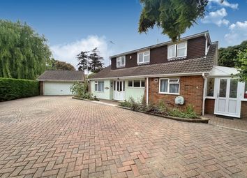 Thumbnail 4 bed detached bungalow to rent in Cedar Close, Horsham