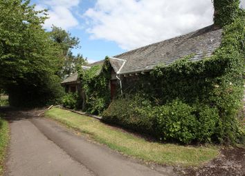 Thumbnail 3 bed bungalow for sale in Grange Of Lindores, Fife