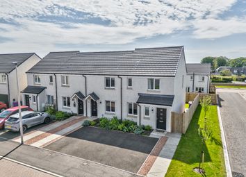 Thumbnail Terraced house for sale in Finlay Drive, Arbroath, Angus