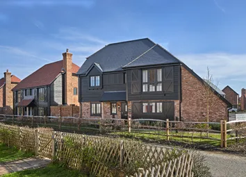 Plot 44