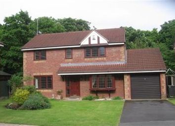 3 Bedroom  for rent