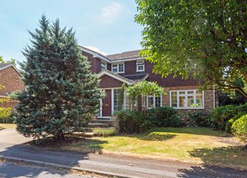 Thumbnail Detached house to rent in Cleveland Close, Maidenhead