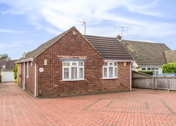 Thumbnail 3 bed bungalow to rent in Nickleby Road, Clanfield, Waterlooville