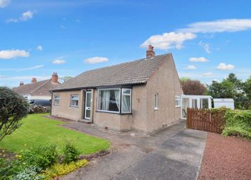 Thumbnail Detached bungalow for sale in Dinningside, Belford