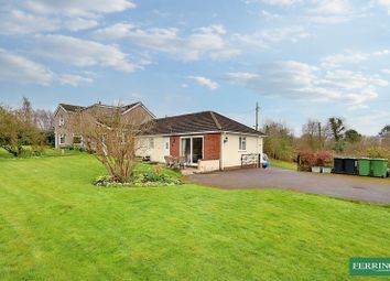 Thumbnail Cottage for sale in And 2 Bed Annex, Hillersland, Coleford, Gloucestershire.