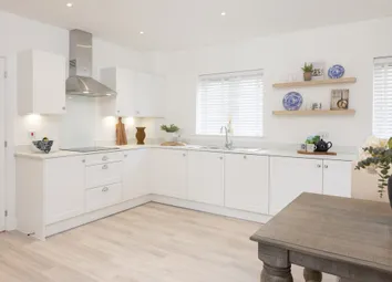 Rowan | Kitchen