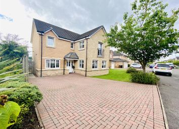Thumbnail 4 bed detached house for sale in Heron View, Motherwell