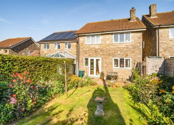 Thumbnail Detached house for sale in Orchard Mead, Broadwindsor, Beaminster