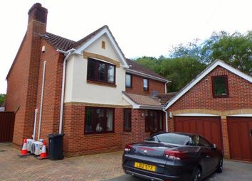 Thumbnail Room to rent in 2 Liederbach Drive, Verwood