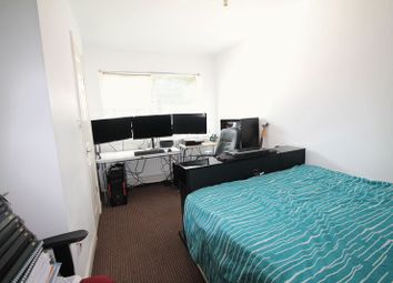 1 Bedroom  for rent