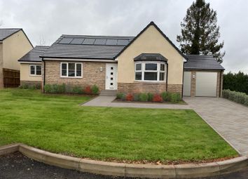 Thumbnail 4 bed detached bungalow for sale in Lea, Ross-On-Wye