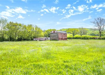 Thumbnail Land for sale in Whitchurch Canonicorum, Bridport, West Dorset