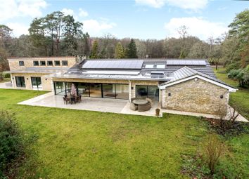 Thumbnail 5 bed equestrian property to rent in Frensham, Farnham, Surrey