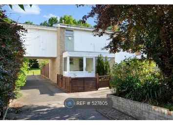 1 Bedroom  for rent