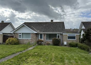 Thumbnail Bungalow to rent in Colyford Road, Seaton