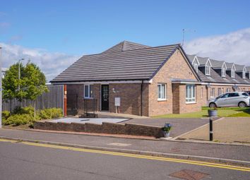 Thumbnail 3 bed bungalow for sale in Rootes Place, Paisley
