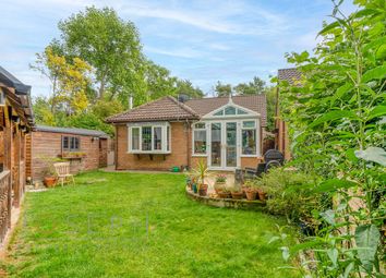 Thumbnail 3 bed detached bungalow for sale in Whitton Leyer, Bramford, Ipswich
