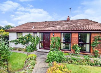 Thumbnail 2 bed detached bungalow for sale in Braeview Park, Beauly